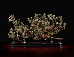 Image result for Osyris compressa