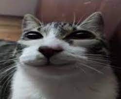 images?q=tbn:ANd9GcQ3-fzh3j6tB1J5y_7YEL3yiKUV-k9YYEeOOStG21Lb2Q-xNrPVtpgQnh3jyIjmhxd-RJM&usqp=CAU