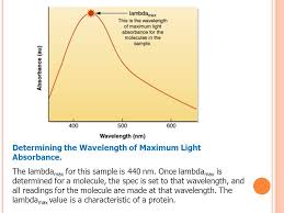 Check spelling or type a new query. C Hapter 7 S Pectrophotometers C Oncentration A Ssays Introduction To Biotechnology Biol1414 Austin Community College Biotechnology Dept Ppt Download