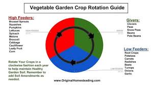 Vegetable Garden Crop Rotation Gardening Vegetable