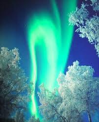 Create an account or log into facebook. White Birch Trees And Stunning True Blue Colors Of The Finnish Norhern Lights Wow Northern Lights Aurora Borealis Northern Lights See The Northern Lights