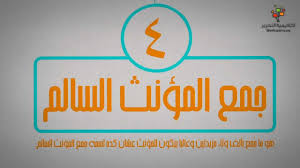 جمع المؤنث السالم دروس في النحو ج 2 Youtube