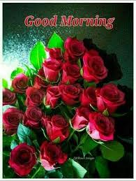38 Good Morning Flower Images For Free Download Hd Pics Good Morning Flowers Morning Flowers Good Morning Images
