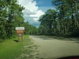 A campground host is always available. Camel Lake Campground National Forests In Florida Recreation Gov