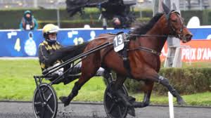 SAN MOTEUR (résultats et engagements) | LETROT