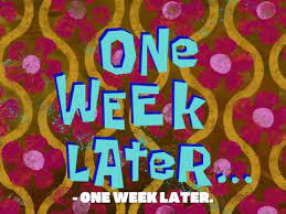 We did not find results for: Chum Fricassee Gifs Get The Best Gif On Giphy