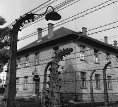 Doctors were complicit in Holocaust ...