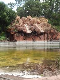So, why doesn't disney sell gum? Abandoned Disney River Country Water Park Mansoes Abandonadas Abandonado