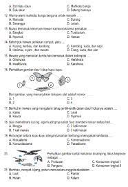 Pin Di Ipa
