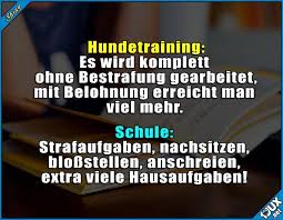 1 0 Fur Die Hundeschule Truestory Memes Spruche Isso Sowahr Spruch Bildung Lustige Zitate Und Spruche Lustige Fakten Witzige Spruche