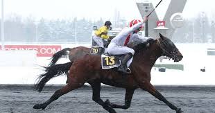Singalo Gagne Le Prix De Cornulier 2013 Cheval De Course Courses Hippiques Hippique