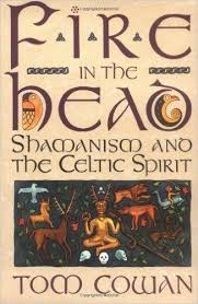 Fire In The Head Shamanism And The Celtic Spirit Tom Cowan 9780062501745 Amazon Com Books Occult Books Witch Books Witchcraft Books