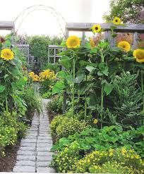 Download Pin On Gardening Ideas
