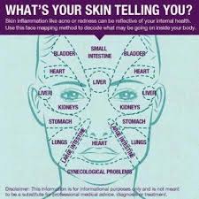 Face Mapping For Acne The Ultimate Guide Health