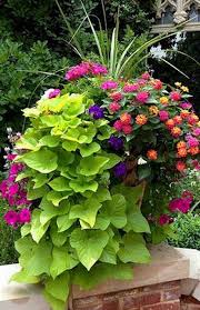 85 Beautiful Summer Container Garden Flowers Ideas Structhome Com Container Flowers Container Gardening Flowers Container Garden Design