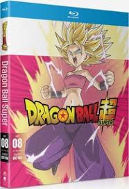 Dragon ball z follows the adventures of goku who, along with the z warriors, defends the earth against evil. Dragonball Super Dvd 2019 2 Disc Set Part 6 Season 6 Dragon Ball Super Tv Movie Video Game Action Figures Figure