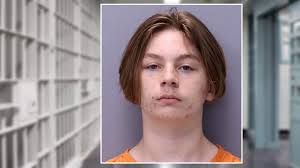 Footage allegedly shows accused murderer walking with victim on night she was. Aiden Fucci Pleads Not Guilty In Murder Of Schoolmate Tristyn Bailey
