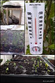 It S 56 Degrees Outside But Almost 100 Degrees In The Greenhouse Glad We Could Open The Door Garden Harvest Gardening Tips Self Watering