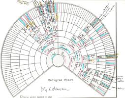 X Marks The Spot Dnaexplained Genetic Genealogy