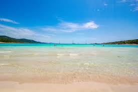 Hotels near sakarun beach, dugi island on tripadvisor: Sakarun Beach Strand Mit Karibikflair Auf Dugi Otok Placesofjuma