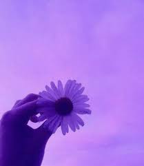 Check spelling or type a new query. Flower Power Purple Aesthetic Violet Aesthetic Lavender Aesthetic