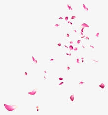 Animated gif in ꒰ anime gifs ꒱ collection by %%. Falling Petals Png Images Free Transparent Falling Petals Download Kindpng