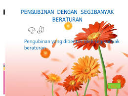 Ragam hias geometris beraturan dan tidak beraturan. Pengubinan Ppt Download