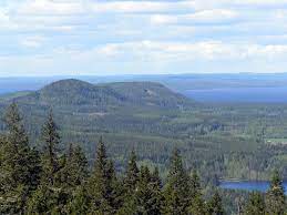 (ọ̑) biol., v zvezi bacil koli in koli bacil bacil črevesne flore, ki ustvarja vitamin b prisl. Koli National Park Wikipedia