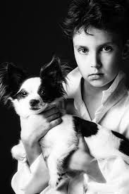Nature, mountain, dog, friends, quiet, peace by Jill Houck. Photo stock