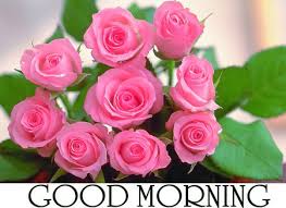 good morning photo के लिए इमेज परिणाम