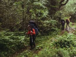 Image result for Brazzeia longipedicellata