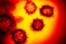 It has a number of mutations that suggest it could be more resistant to vaccines, the health agency warned, but stressed that further research would be needed to confirm this. New Covid Variant What Is The Mu Variant Is It More Deadly Deseret News