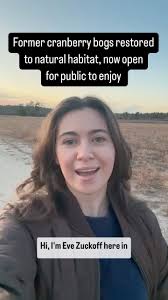 A 13-year effort to restore cranberry bogs to freshwater wetlands and  native grasslands has been completed in Mattapoisett, and the 55-acre  property is now ready for visitors., @evezuckoff attended a ...