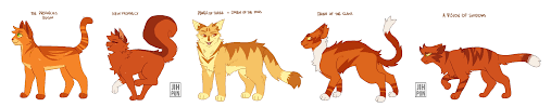 I Ve Noticed That Every Main Character With A Point Of View In The Main Warrior Cats Book Series So Far Have A Warrior Cats Books Warrior Cats Warrior Cats Art