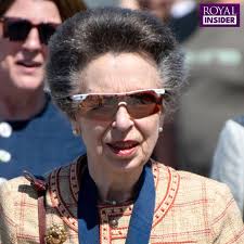 Princess Anne's brutal 'verdict'