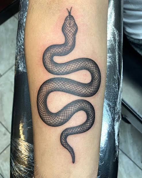 Traditional Snake Tattoo Meaning and Timeless Design Styles - Holistic Ink