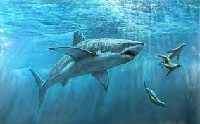 Tiburon Fondos De Pantalla De Tiburones Wallpapers Hd Gratis Tiburones Dibujos De Animales Reales Mundo Marino