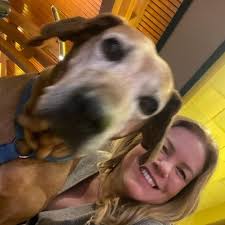 Harold The Bagel Hound (@haroldthebagelhound) • Instagram photos and videos