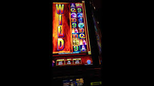 What can you do in raging bull casino? Raging Bull Bonus Spin Retrigger Youtube