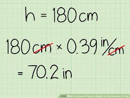 how to convert human height in centimeters to feet with