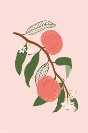 Download Premium Illustration Of Hand Drawn Peach Design Resource Mockup Peach Wallpaper Peach Art Pomegranate Design