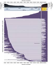 Click on the 'add to wallet' button. The Architecture Of Sars Cov 2 Transcriptome Sciencedirect