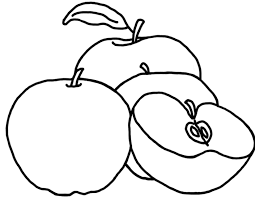 Gambar sketsa buah buahan apel coloring web id. Contoh Gambar Sketsa Buah Buahan Untuk Mewarnai Kataucap