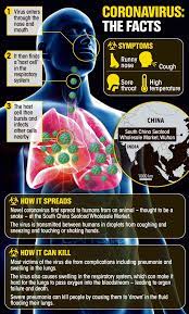 Pin On Healthy Me