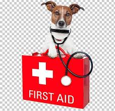 Sign up to our newsletter for more pet care advice. Dog Pet Sitting Pet First Aid Emergency Kits First Aid Supplies Png Clipart Aid Animals