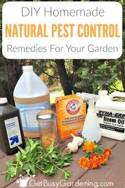 The original diy pest control supply store. Natural Garden Pest Control Remedies And Recipes Get Busy Gardening