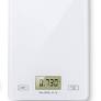 mini portable electronic scale from www.ebay.com