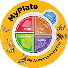 Kids Myplate Plate Plastic Nutrition Education Store Exclusive Design 1 Plate With Free Shipping Healthy Plate Nutrition Education Kids Nutrition