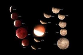 Gerhana matahari total, gerhana matahari cincin. Gerhana Matahari Total Gerhana Bulan Dan Fenomena Langit Lain Di Bulan Maret Semua Halaman National Geographic