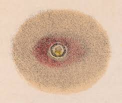 Image result for Chancroid